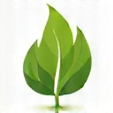 Green leaf icon representing eco-friendly
