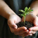 Hands holding a plant icon symbolizing ethical production